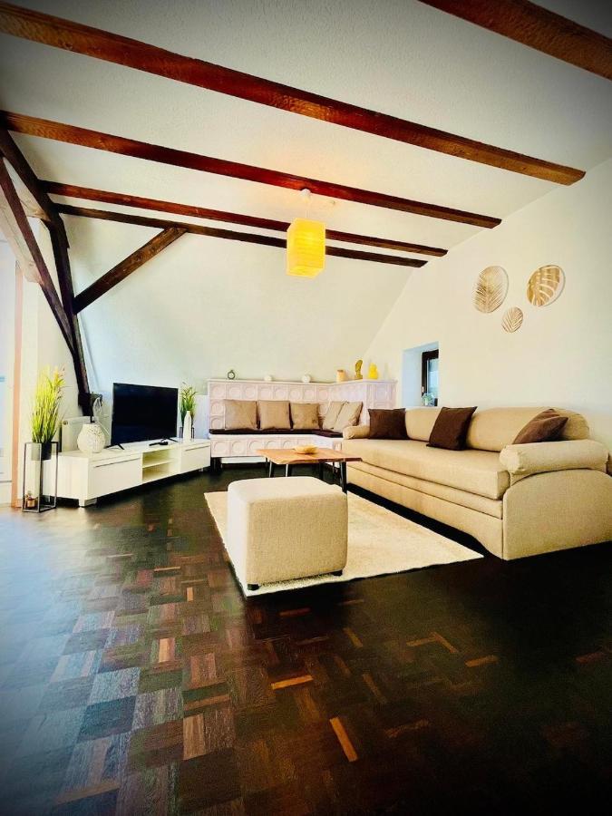 Chris & Aris Ferienwohnung Waldshut Zentrum Εξωτερικό φωτογραφία